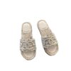 Gucci GG WOMEN’S PLATFORM SLIDE SANDAL dupe GG048