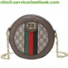 Gucci Ophidia mini chain bag Dupe Bag GG033