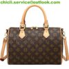 Louis Vuitton LV Speedy Dupe Bag CL021