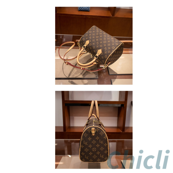 Louis Vuitton LV Speedy Dupe Bag CL020