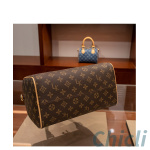 Louis Vuitton LV Speedy Dupe Bag CL020