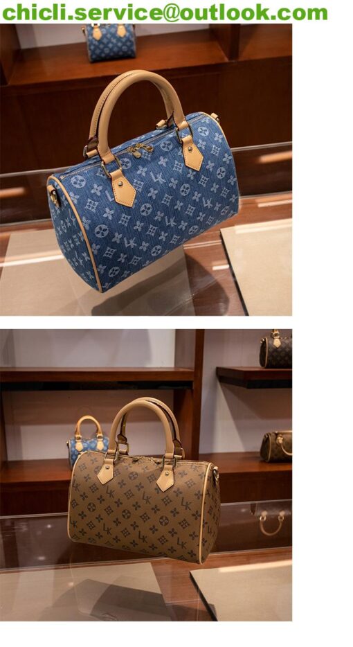 Louis Vuitton LV Speedy Dupe Bag CL020