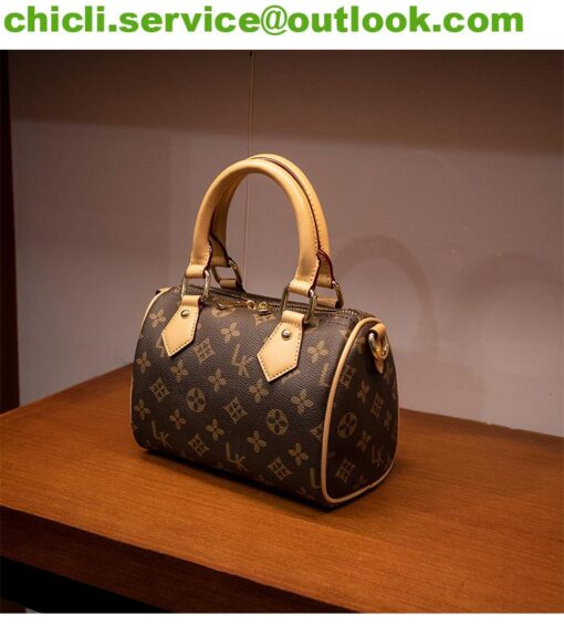 Louis Vuitton LV Speedy Dupe Bag CL020