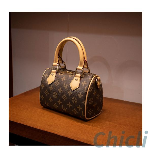 Louis Vuitton LV Speedy Dupe Bag CL020