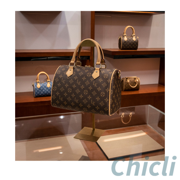 Louis Vuitton LV Speedy Dupe Bag CL020