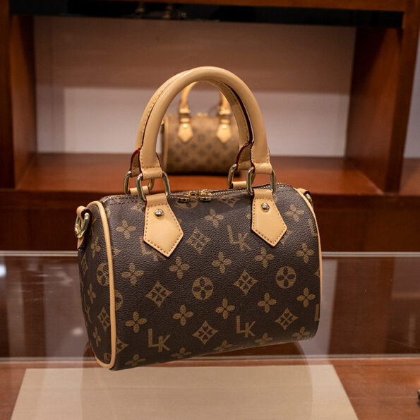 Louis Vuitton LV Speedy Dupe Bag CL020