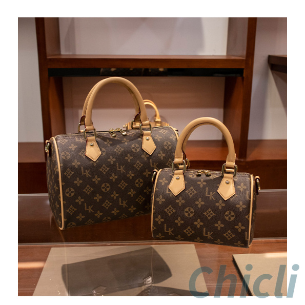 Louis Vuitton LV Speedy Dupe Bag CL020