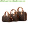 Louis Vuitton LV Speedy Dupe Bag CL014