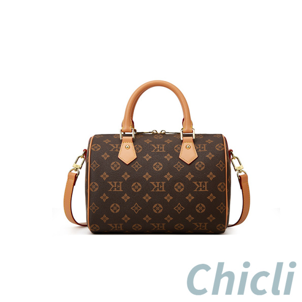 Louis Vuitton LV Speedy Dupe Bag Monogram Canvas CL013