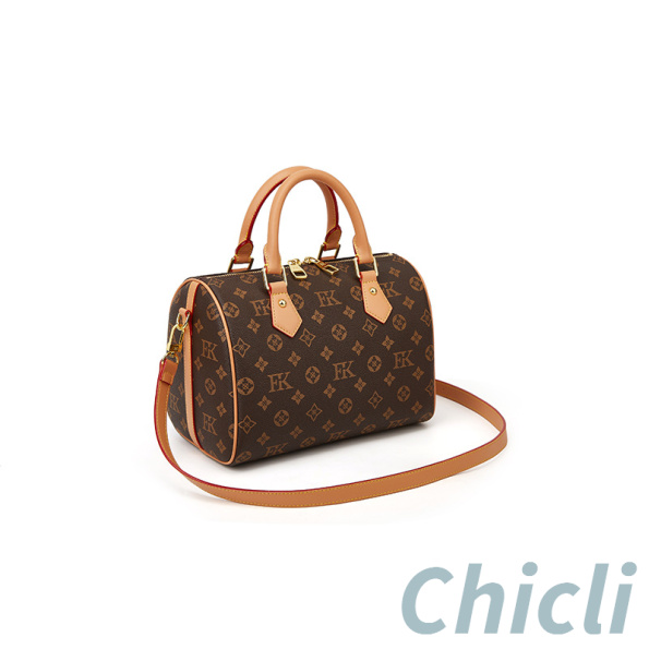 Louis Vuitton LV Speedy Dupe Bag Monogram Canvas CL013