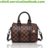 Louis Vuitton LV Speedy Dupe Bag CL020