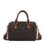 Louis Vuitton LV Speedy Dupe Monogram Bag CL017