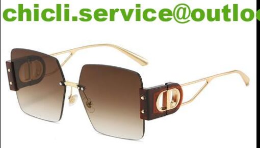 DIOR 30MONTAIGNE S7U Dupe Sunglasses DR023