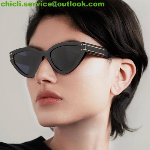 DIOR SIGNATURE B7I Dupe Sunglasses DR022