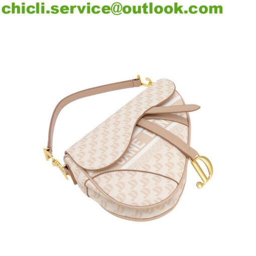 Dior MINI SADDLE BAG WITH STRAP Dupe Bag GG079