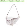 Dior MINI SADDLE BAG WITH STRAP Dupe Bag GG078