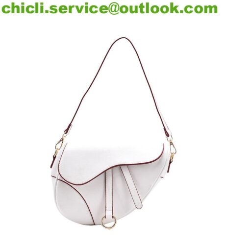 Dior SADDLE BAG WITH STRAP Dupe Bag GG077