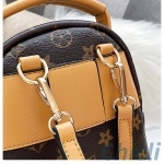 Louis Vuitton LV Mini Backpack Dupe CL044