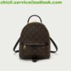 Louis Vuitton LV Mini Backpack Dupe CL046