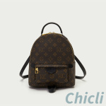 Louis Vuitton LV Mini Backpack Dupe CL046