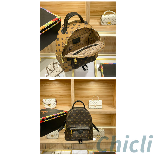 Louis Vuitton LV Mini Backpack Dupe CL046