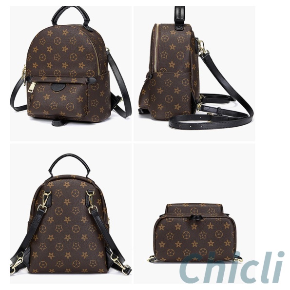 Louis Vuitton LV Mini Backpack Dupe CL047