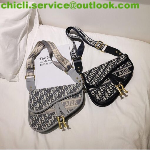 Dior MINI SADDLE BAG WITH STRAP Dupe Bag GG078