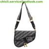 Dior MINI SADDLE BAG WITH STRAP Dupe Bag GG079